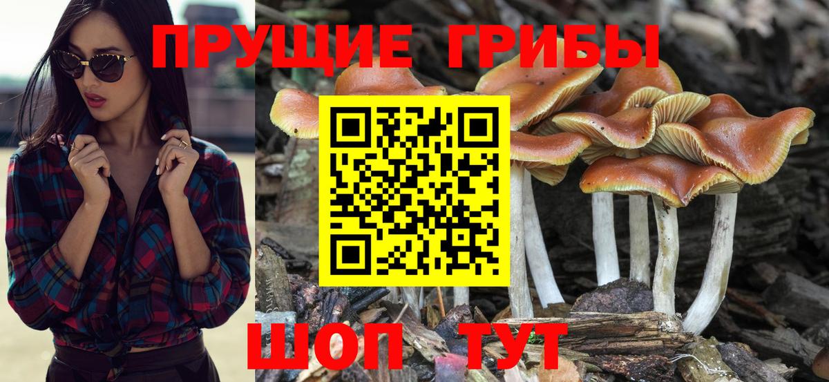 НБОМе  Кокаин  ГАШ  ГАШ  Конопля  Меф МЯУ МЯУ   MDMA  Вход с VPN  Нефтекамск  Меф МЯУ МЯУ 