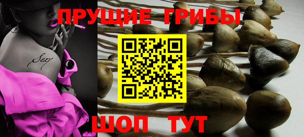 Галлюциногенные грибы MAGIC MUSHROOMS Нефтекамск