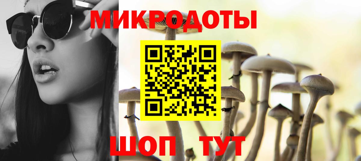 Галлюциногенные грибы MAGIC MUSHROOMS  Вход с VPN  Нефтекамск 